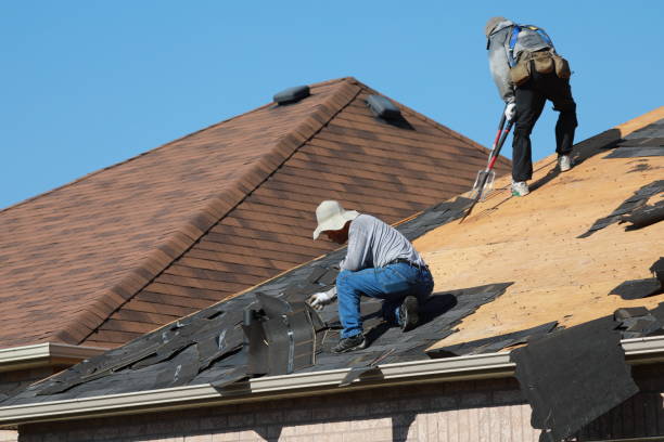 Best Storm Damage Roof Repair  in Albany, MO