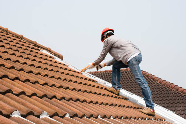 Best Chimney Flashing Repair  in Albany, MO