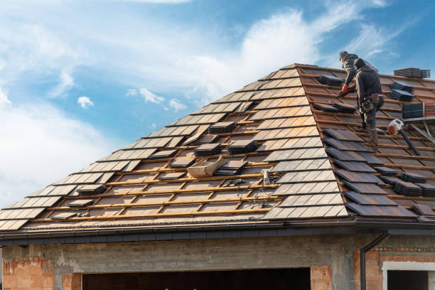 Best Roof Waterproofing  in Albany, MO