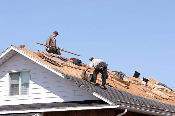 Fast & Reliable Emergency Roof Repairs in Albany, MO